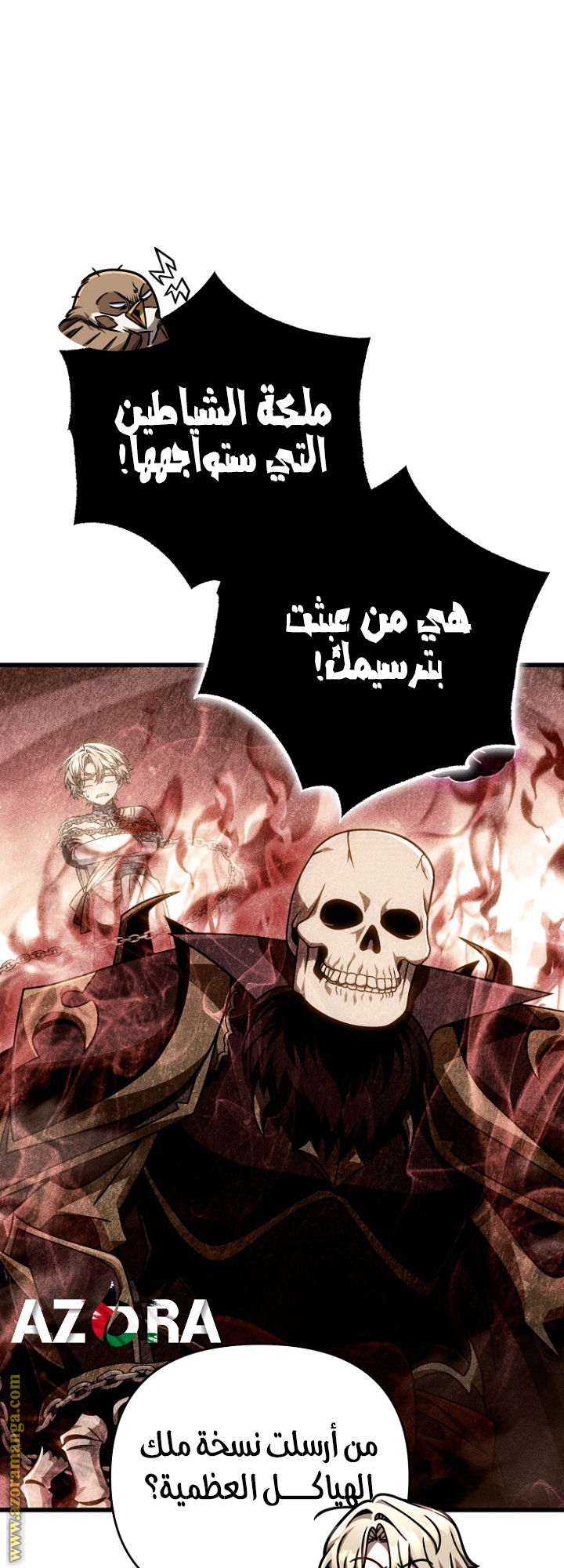 الصفحة 14