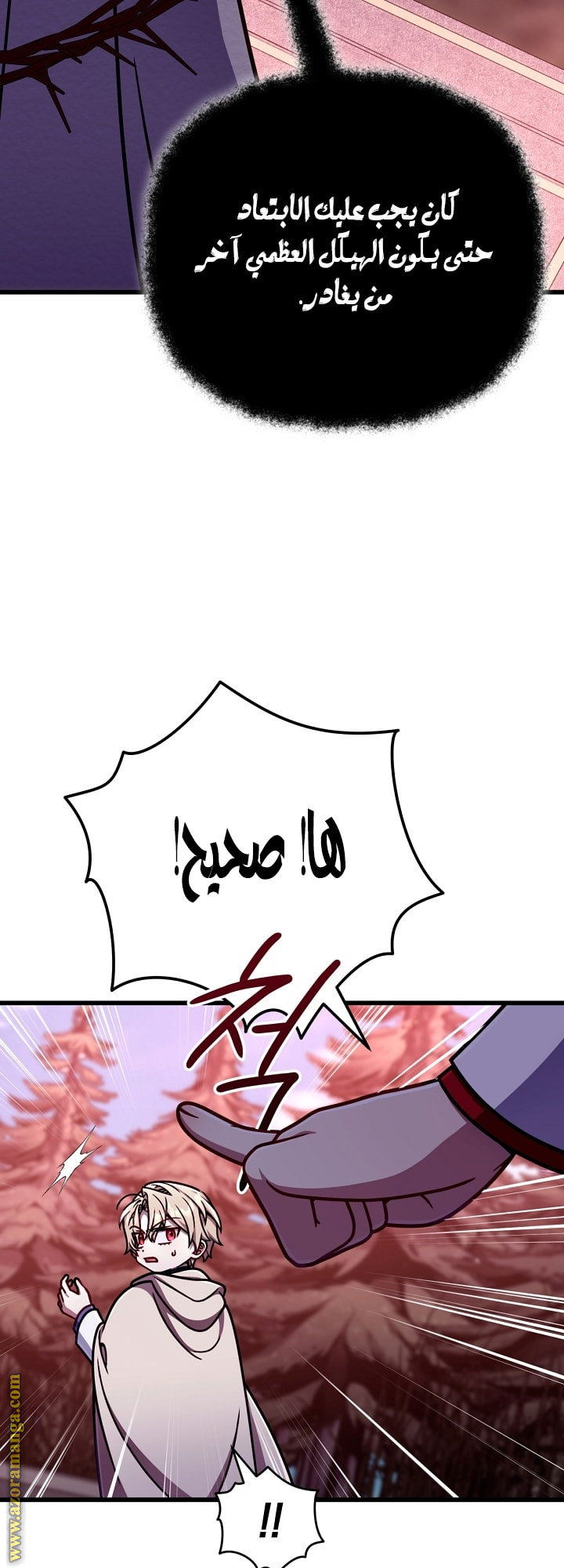 الصفحة 61