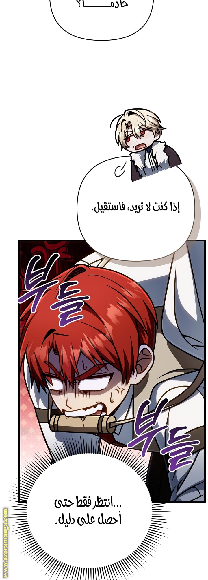 الصفحة 13