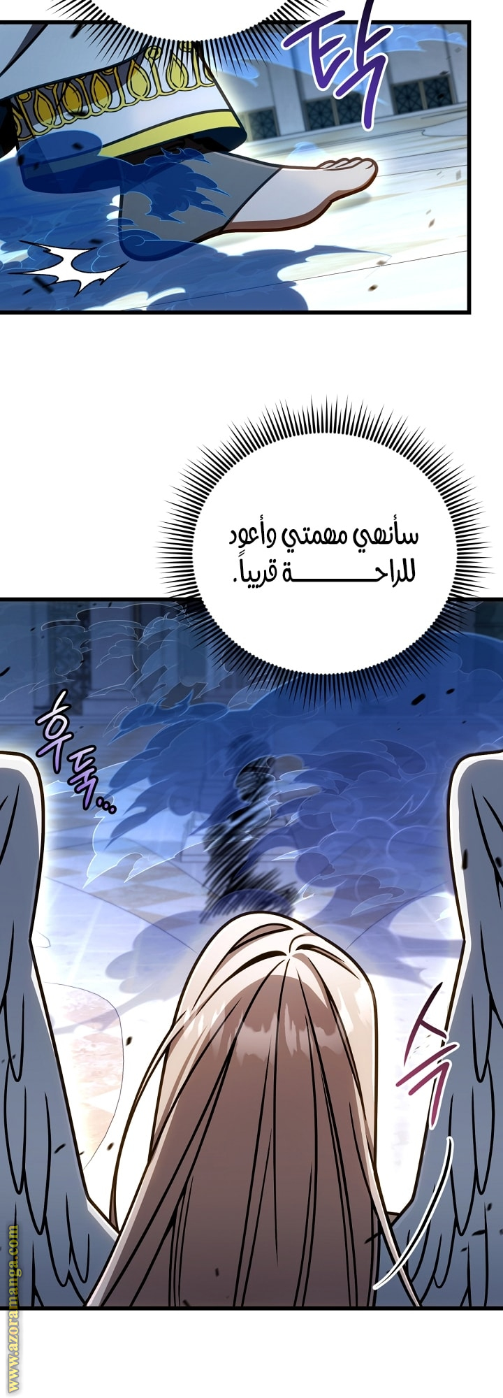 الصفحة 13