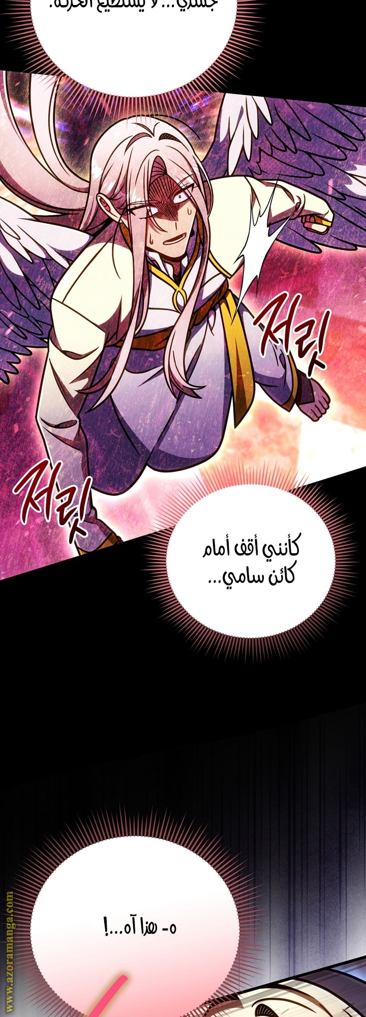 الصفحة 17