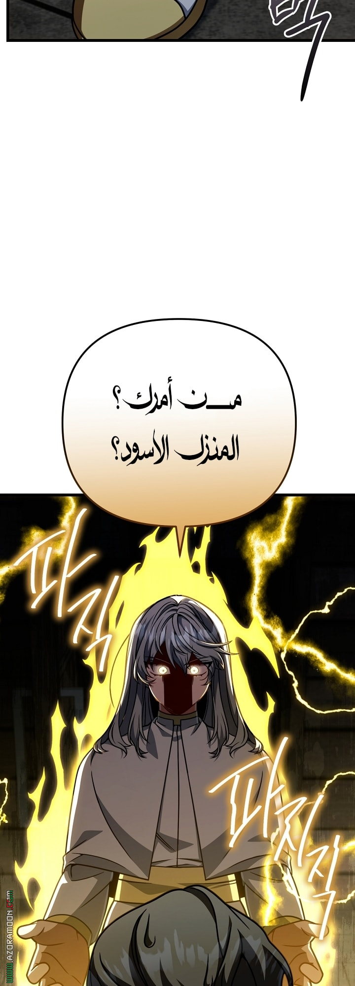 الصفحة 17