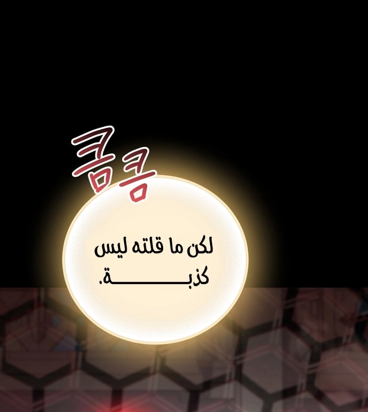 الصفحة 28