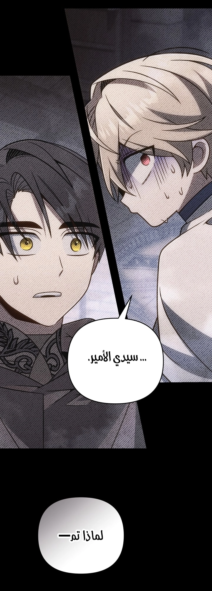 الصفحة 71