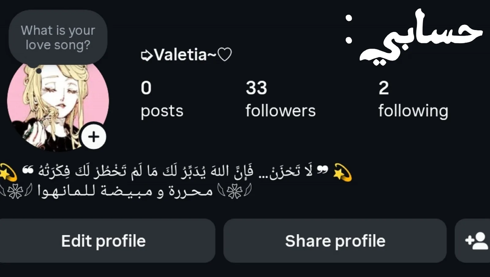 الصفحة 17