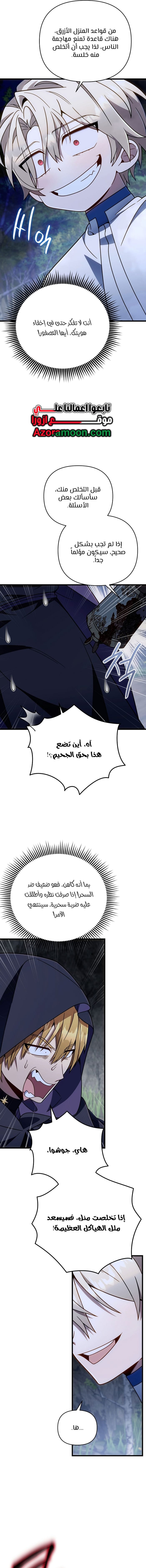 الصفحة 13