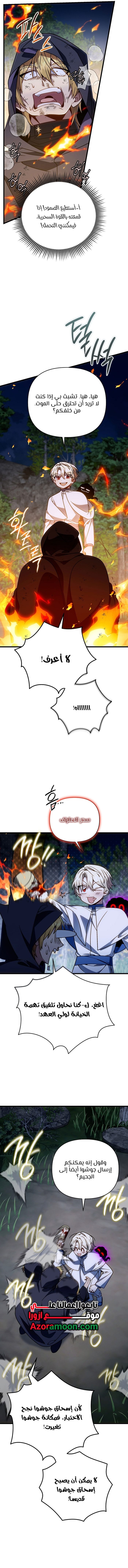 الصفحة 15
