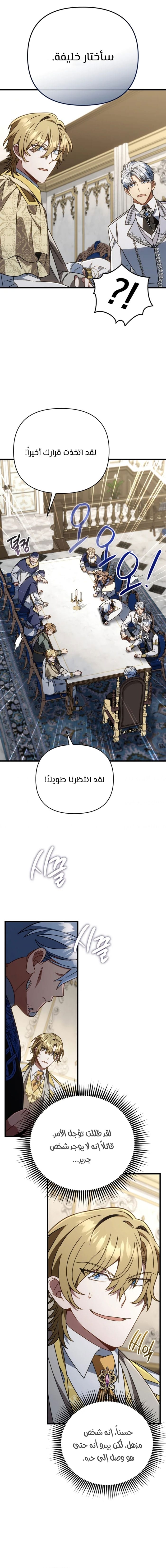 الصفحة 13