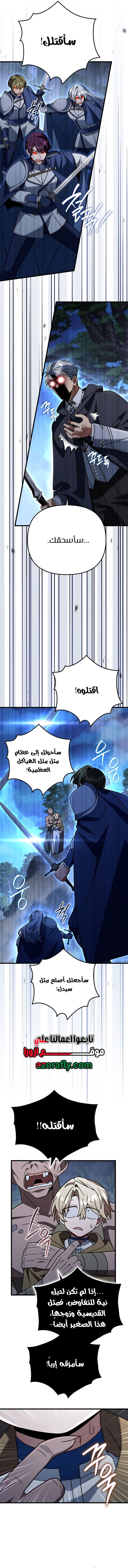 الصفحة 13