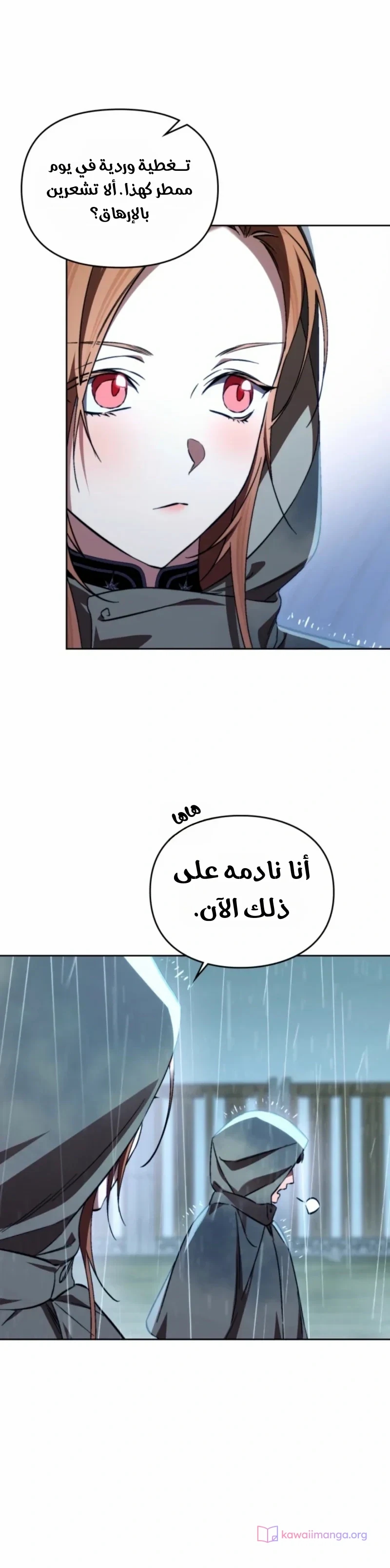 الصفحة 20