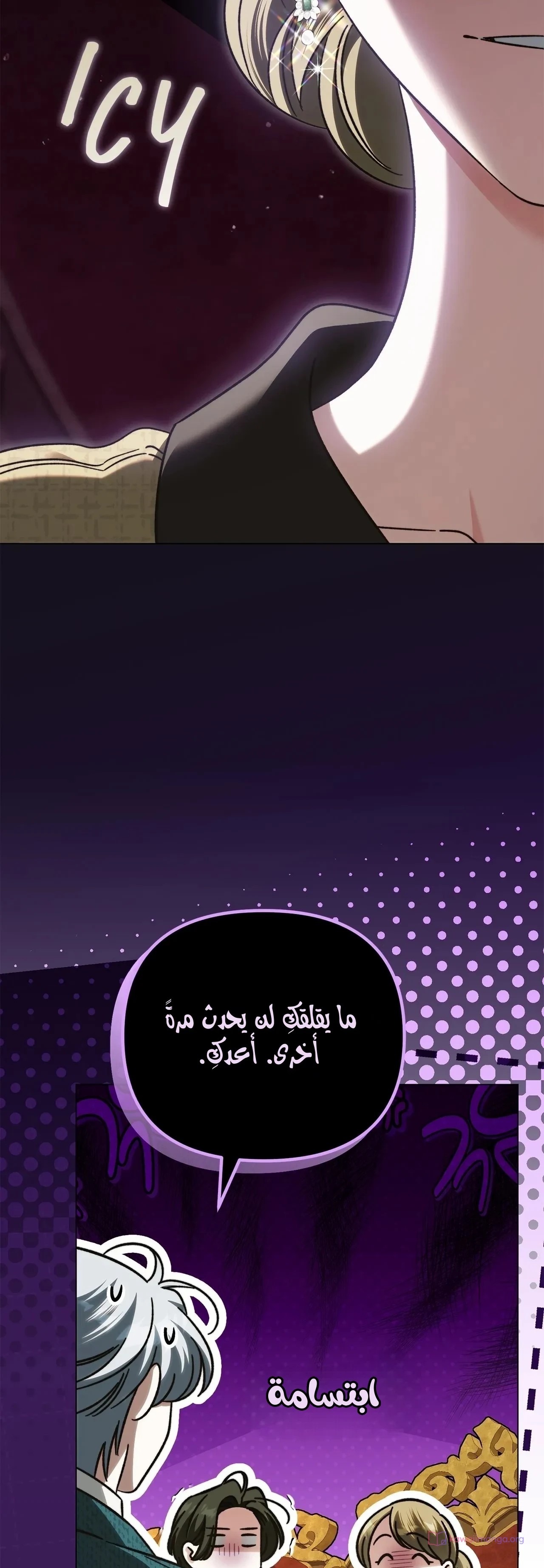 الصفحة 13