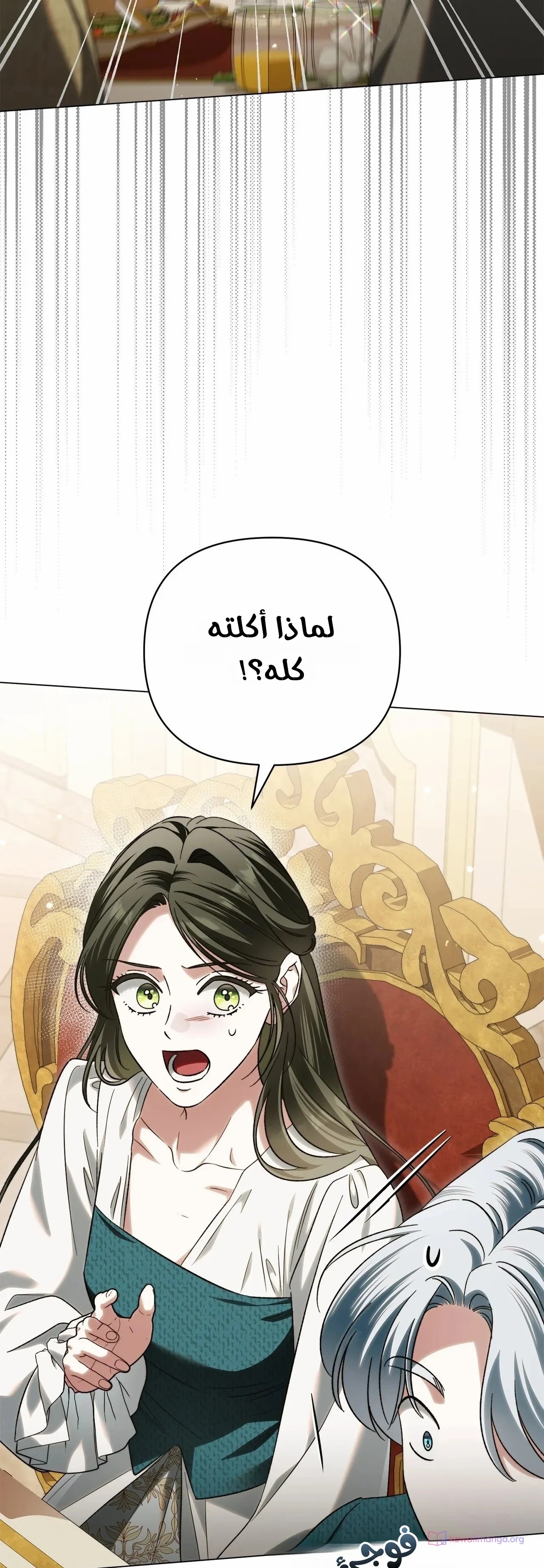 الصفحة 17