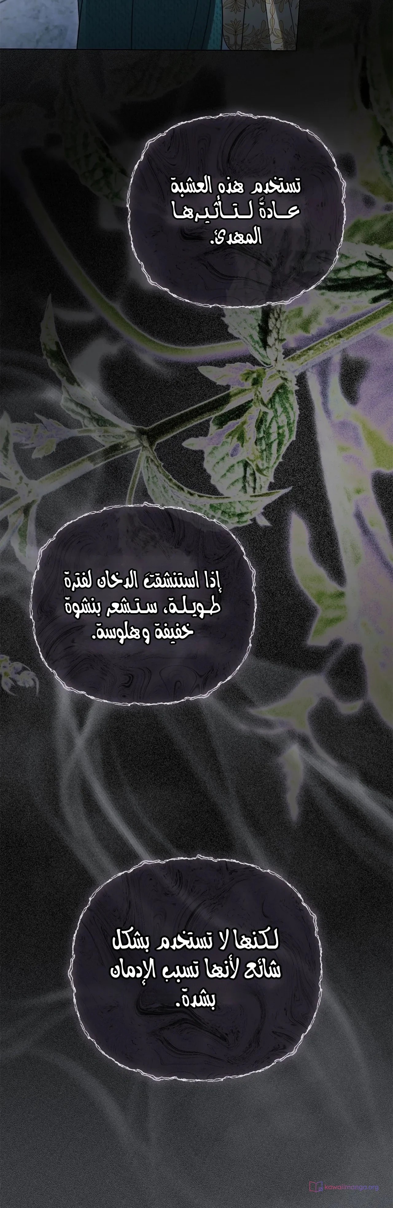 الصفحة 37