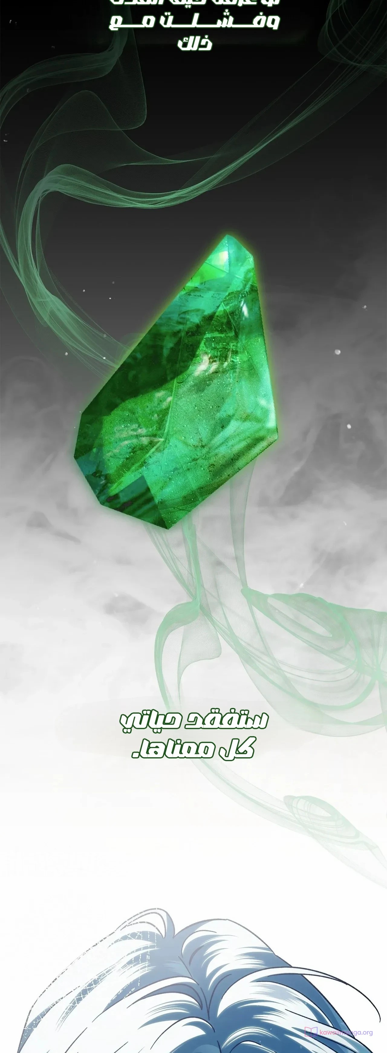 الصفحة 48