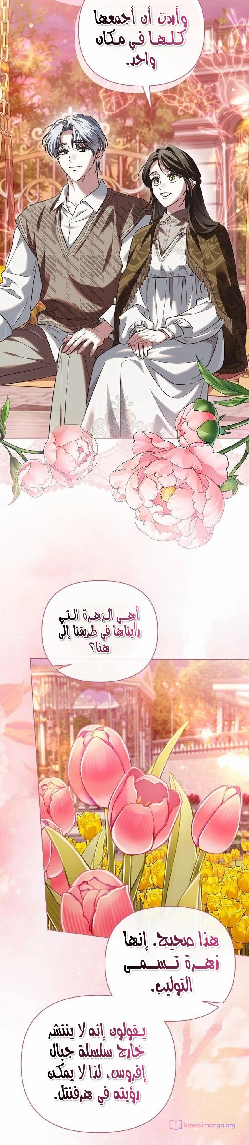 الصفحة 25
