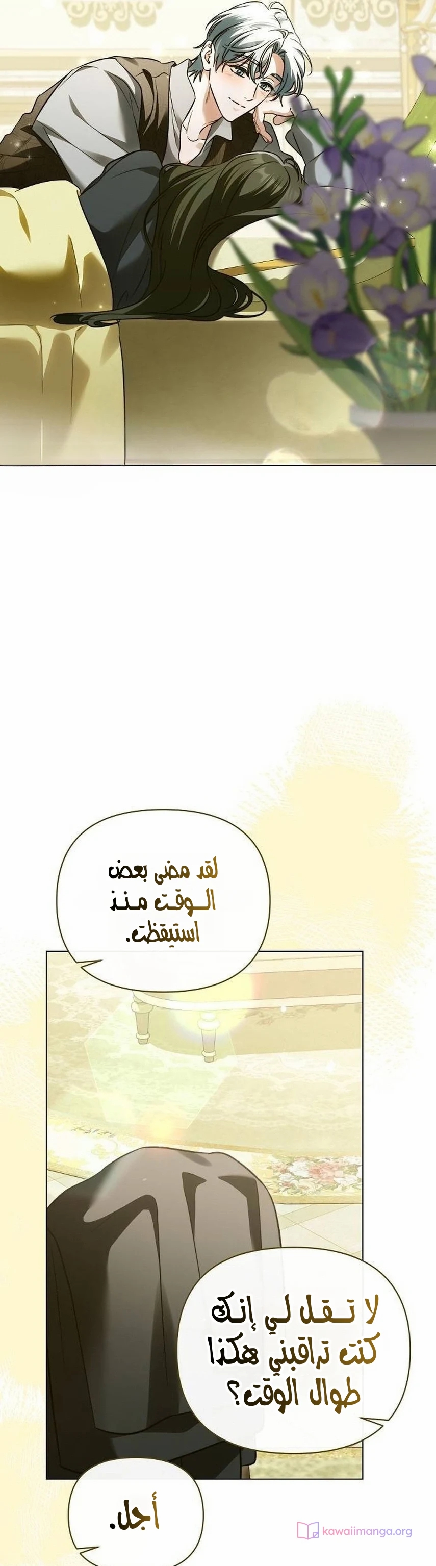 الصفحة 29