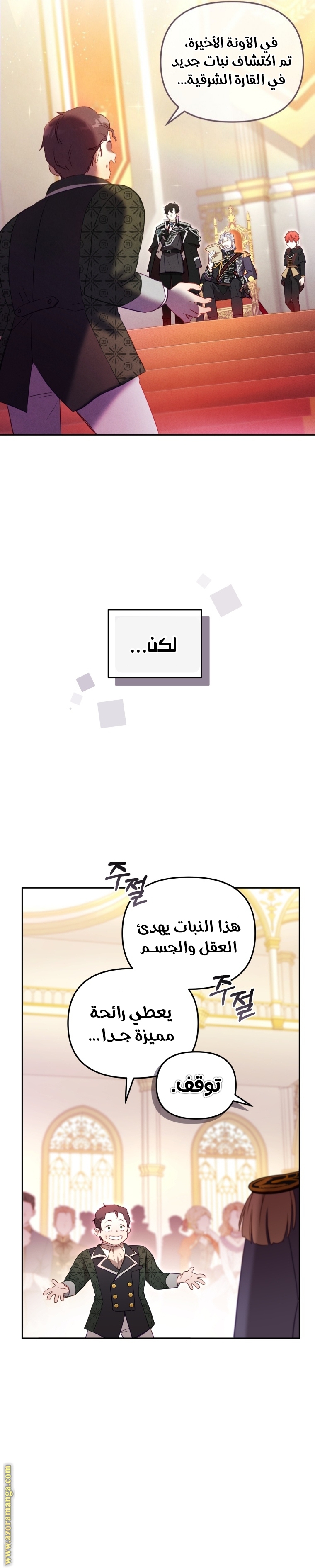الصفحة 29