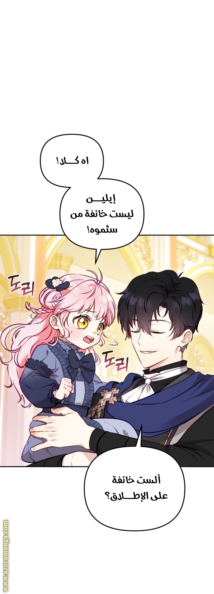 الصفحة 43