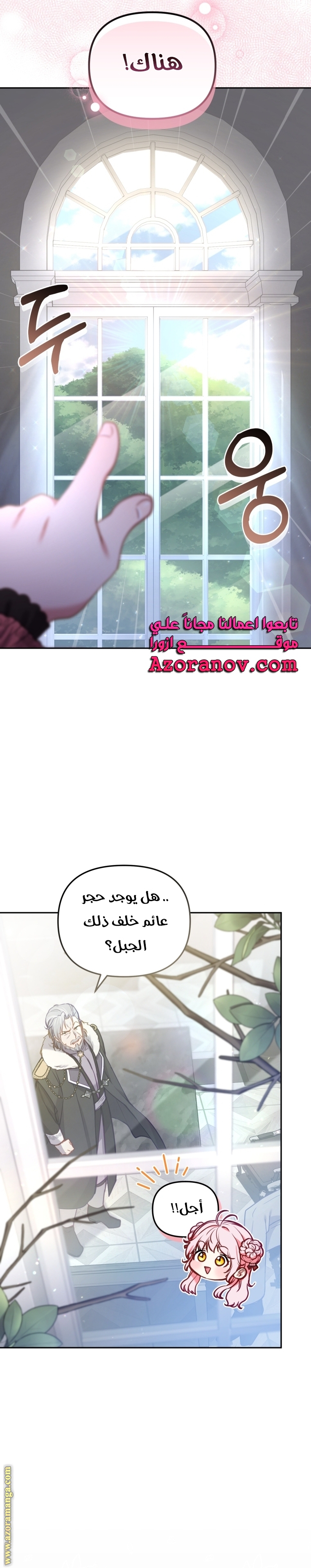 الصفحة 29