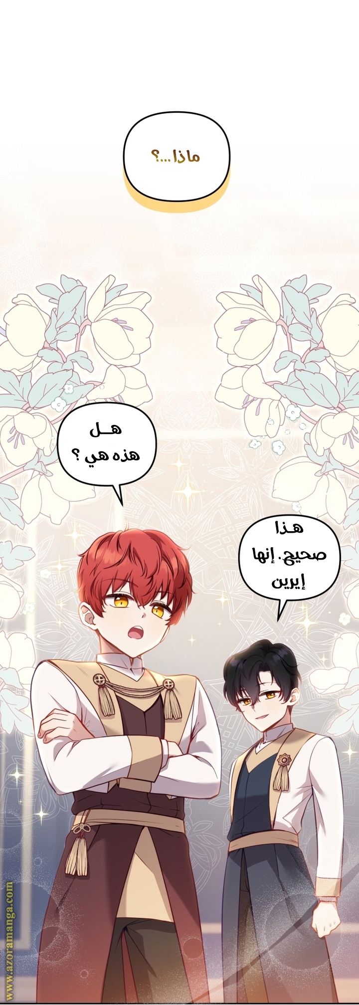 الصفحة 24