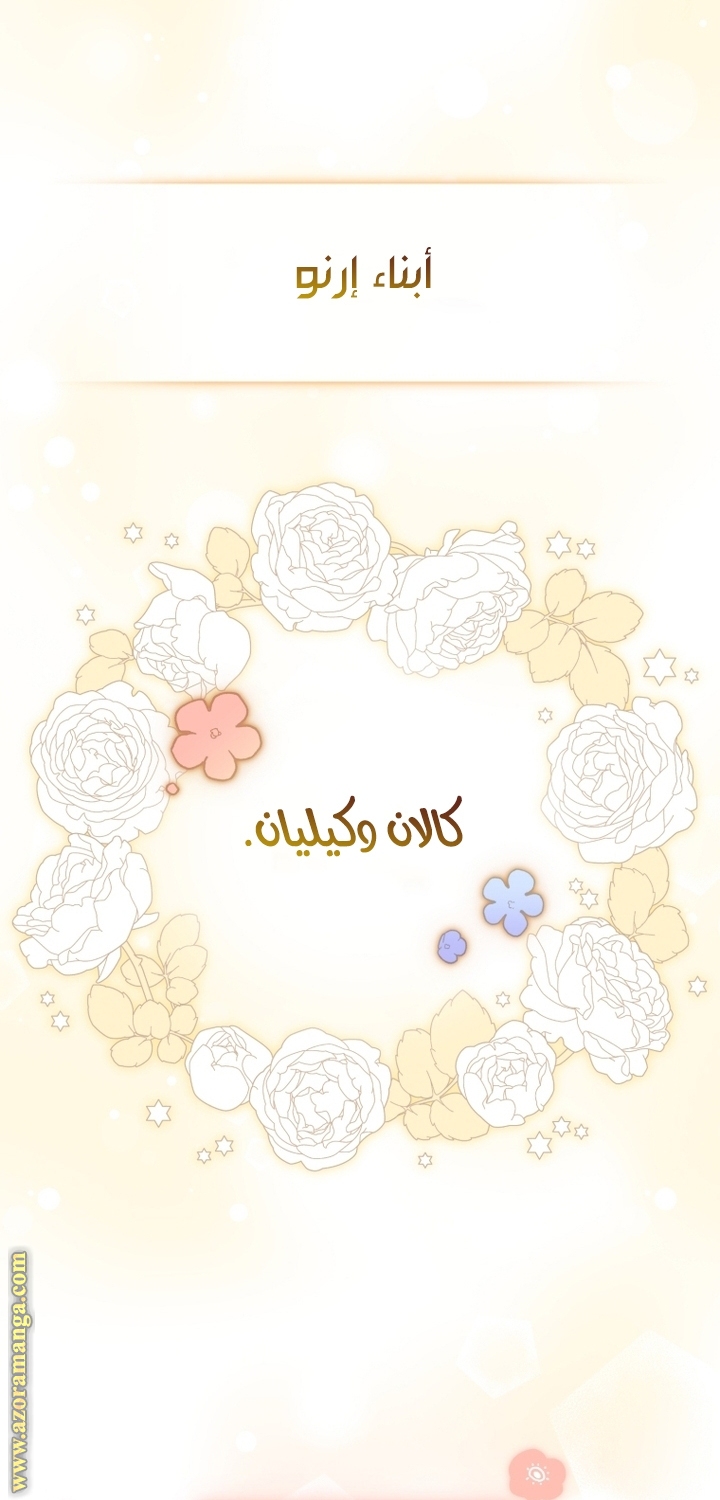 الصفحة 26