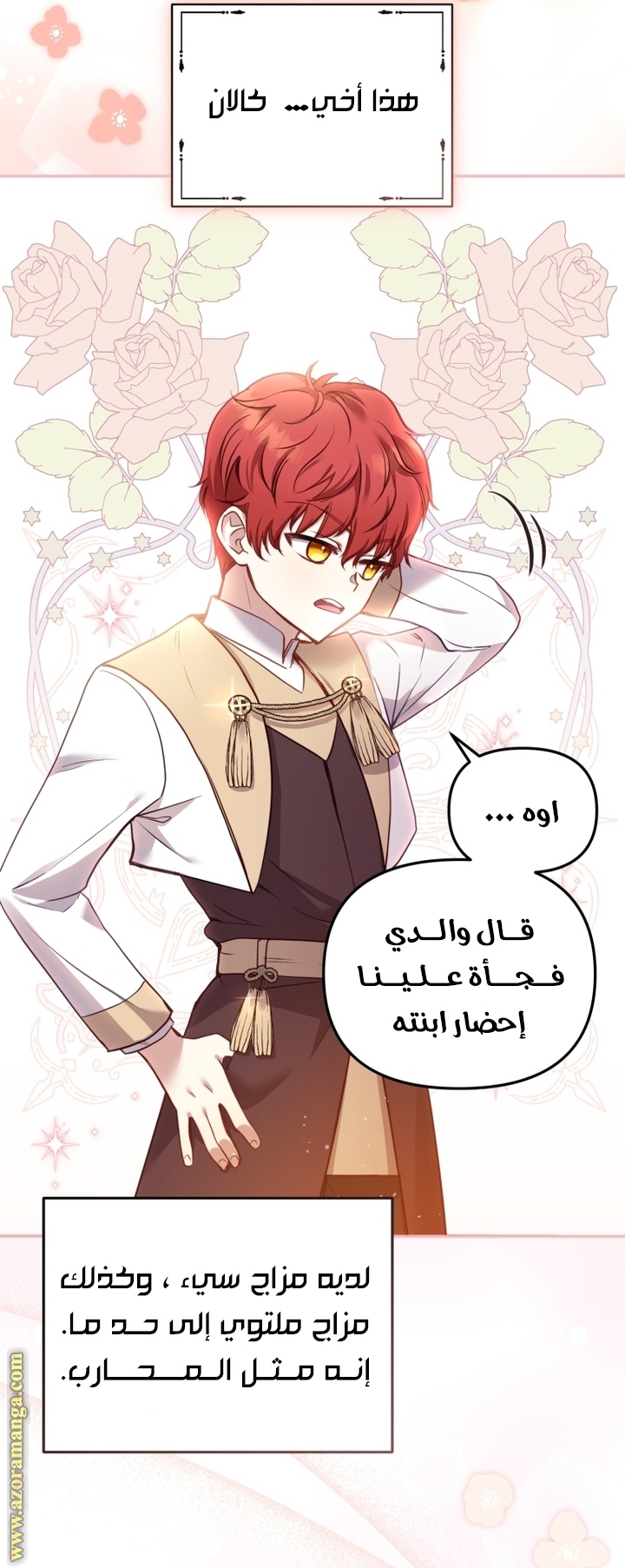 الصفحة 27