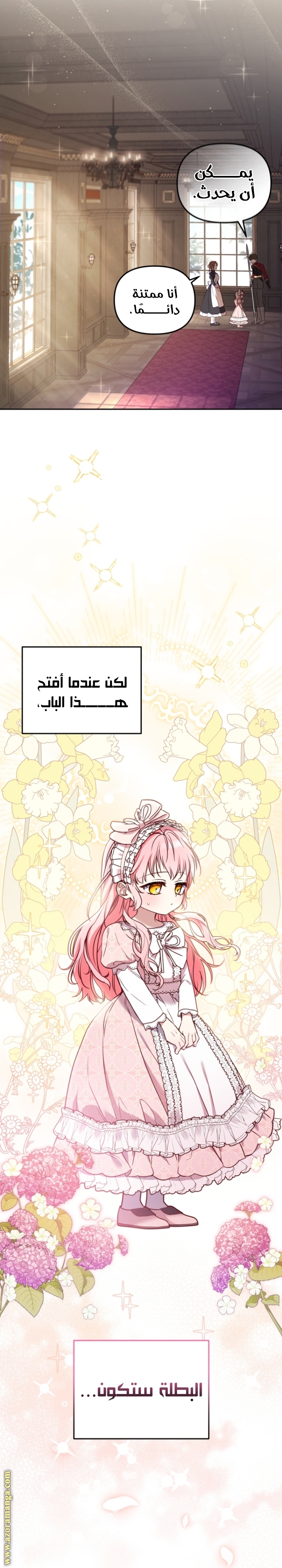 الصفحة 13