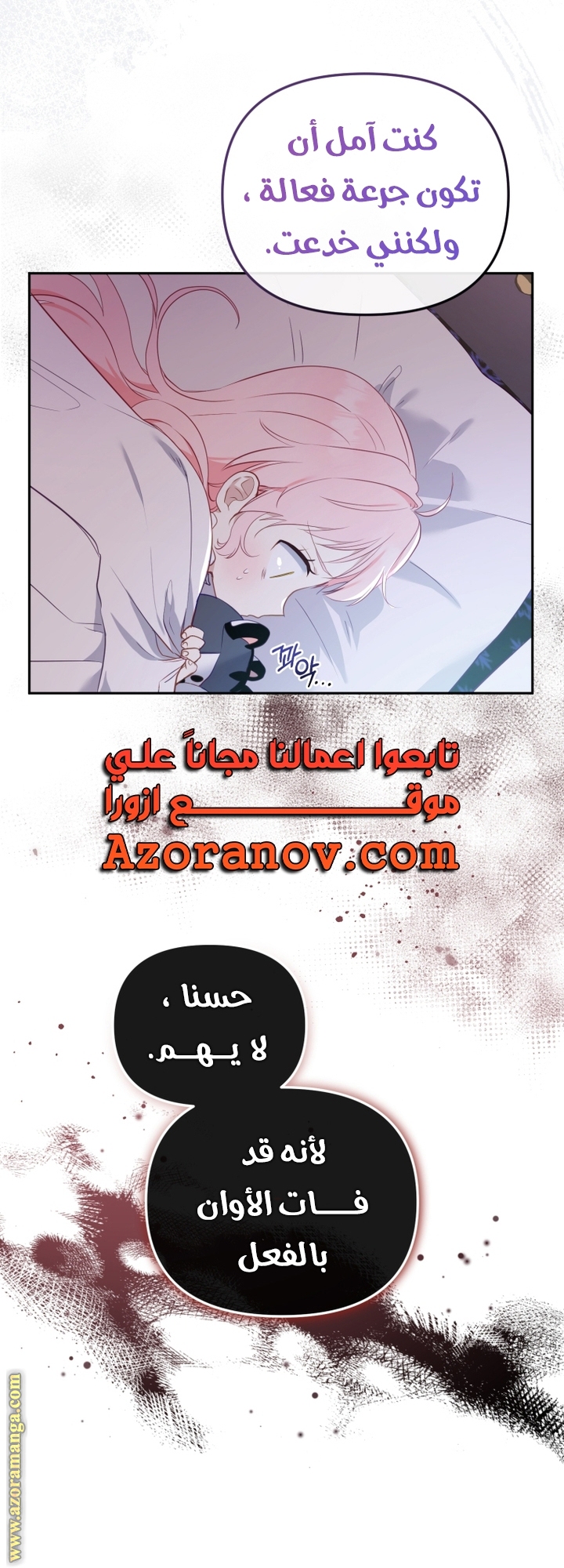 الصفحة 12