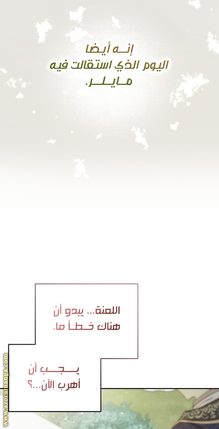 الصفحة 27