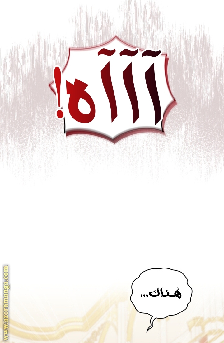 الصفحة 47
