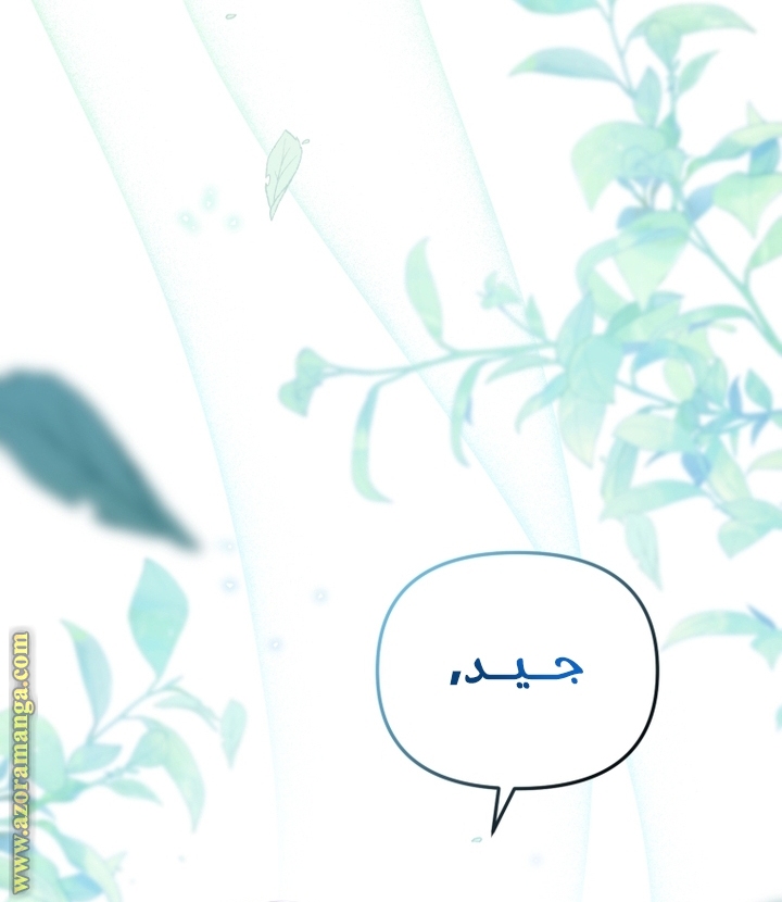 الصفحة 74