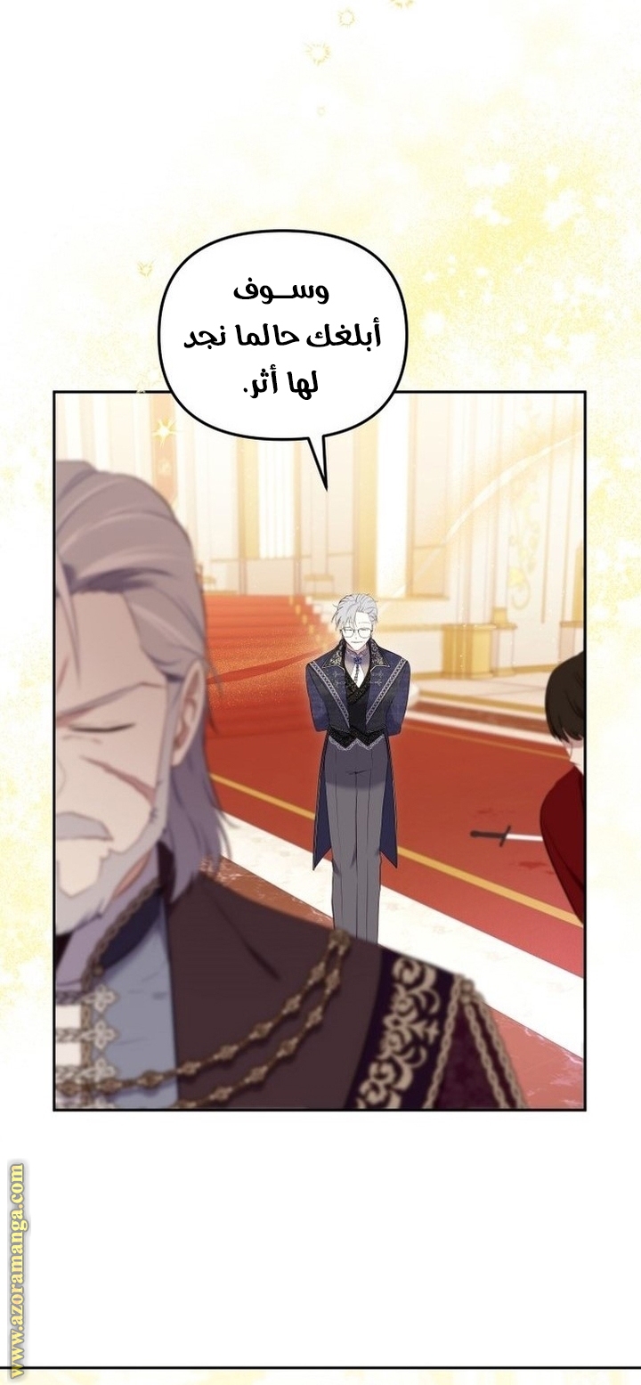 الصفحة 30