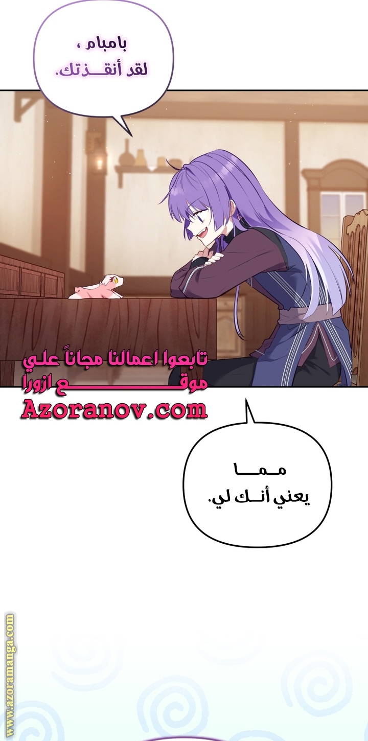 الصفحة 48