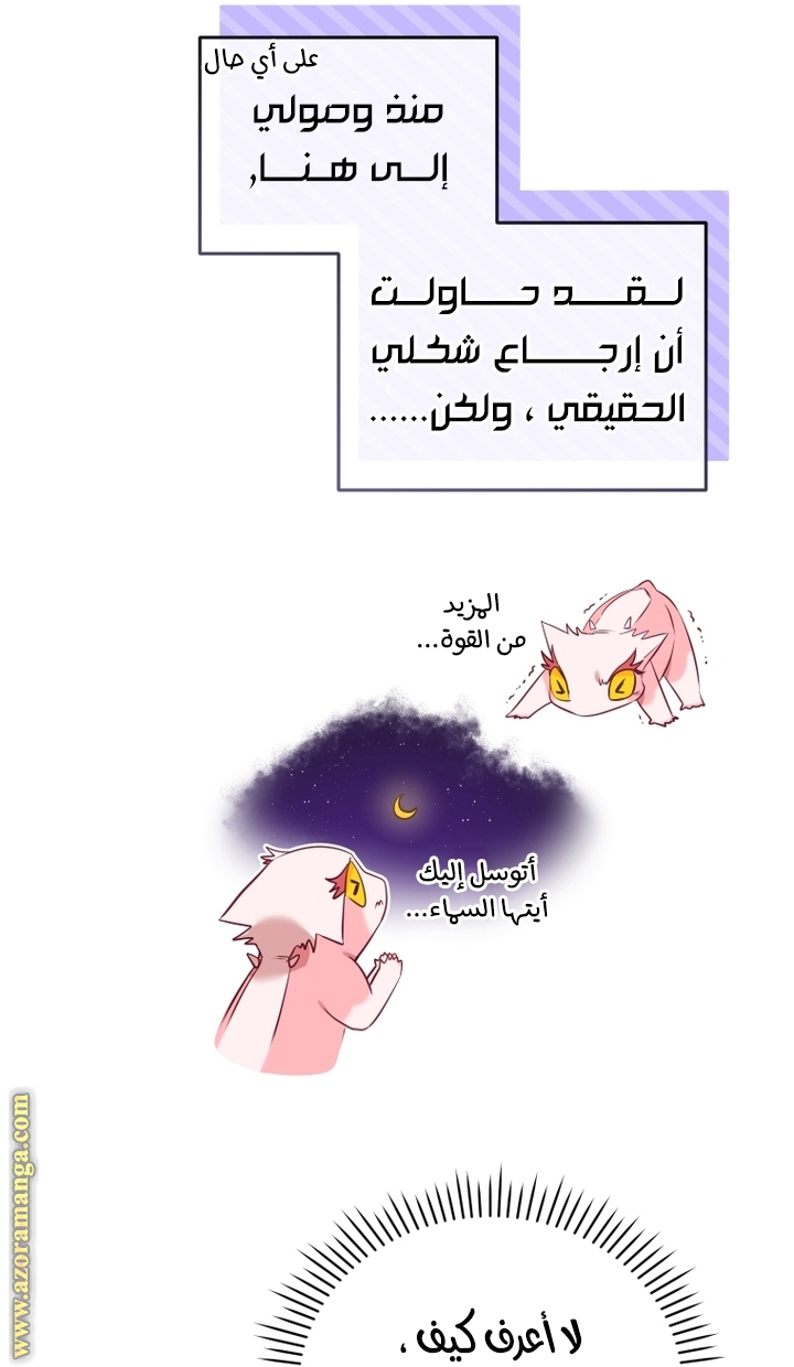 الصفحة 50