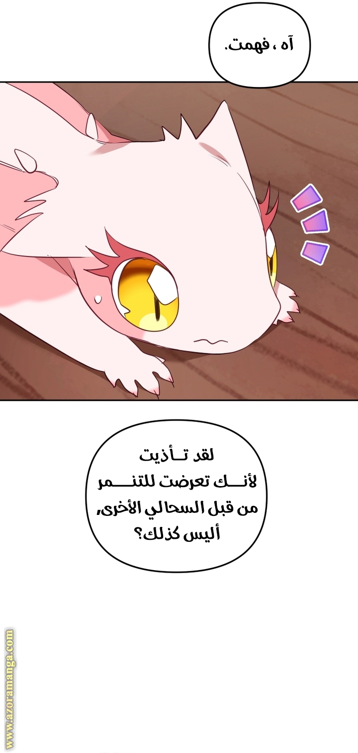 الصفحة 52