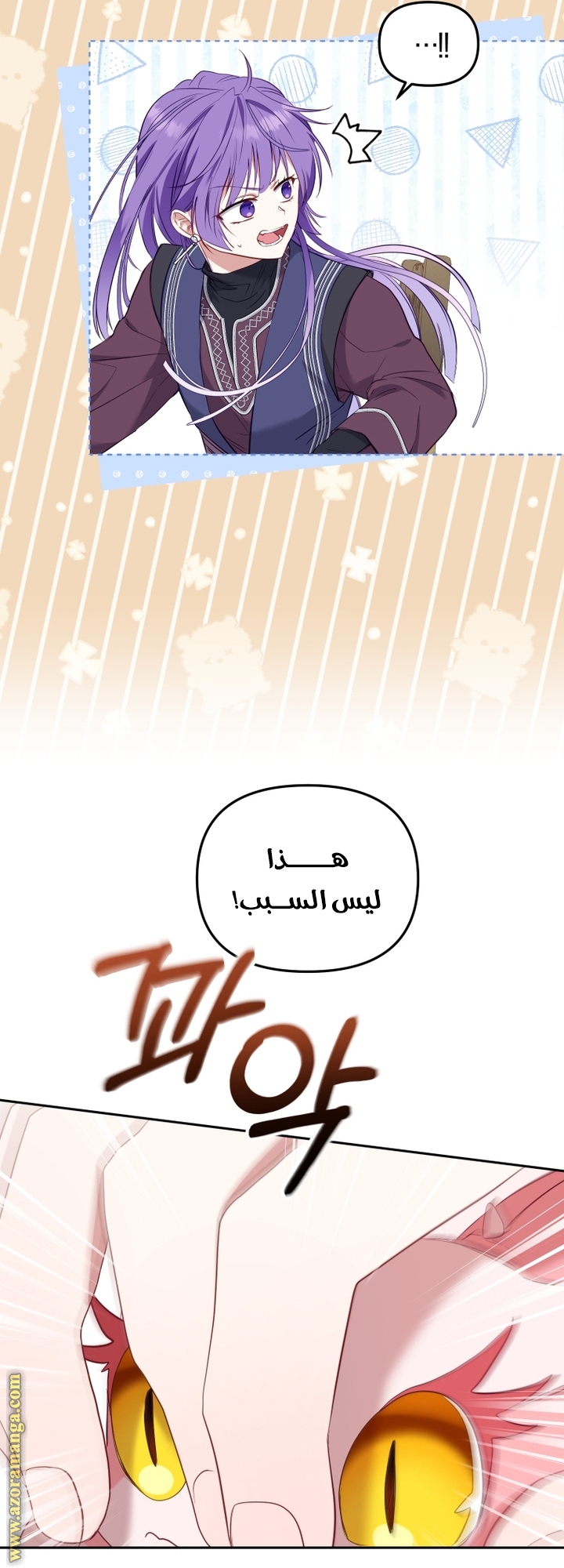 الصفحة 66