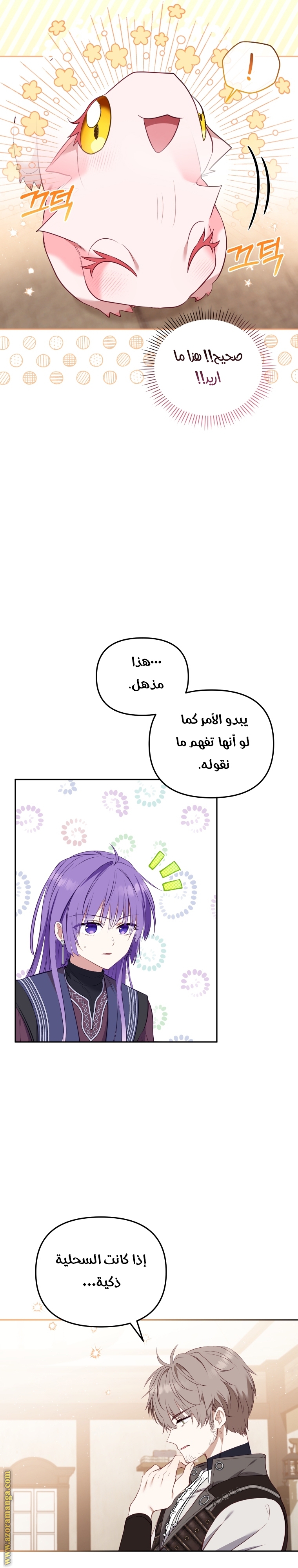 الصفحة 12
