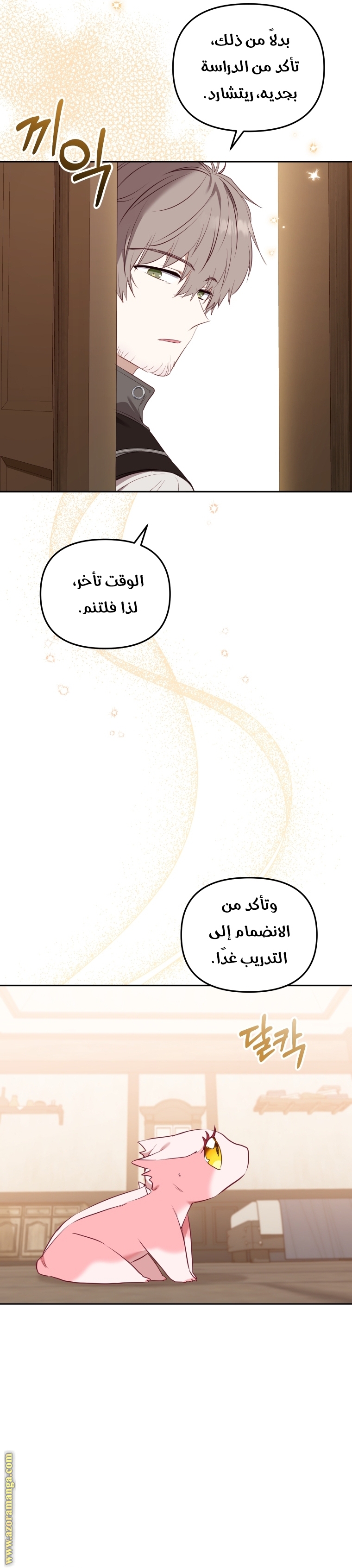 الصفحة 14