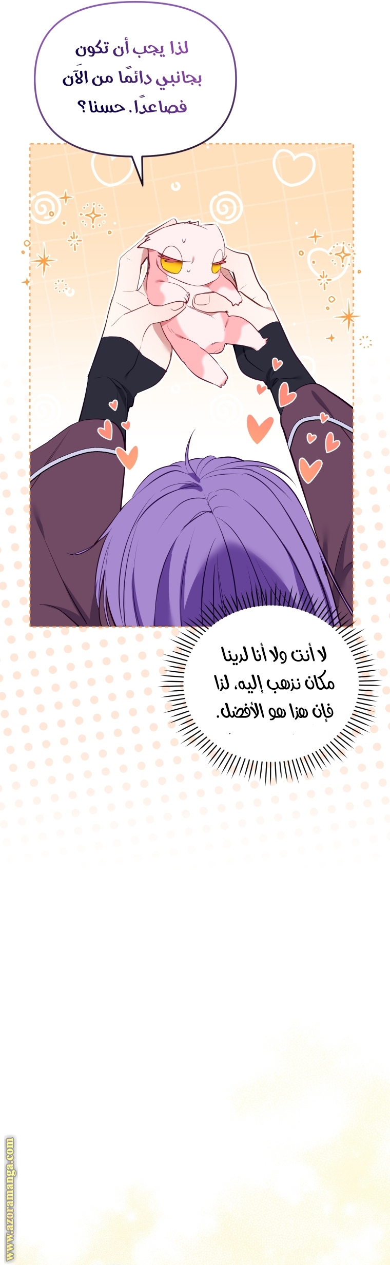 الصفحة 17