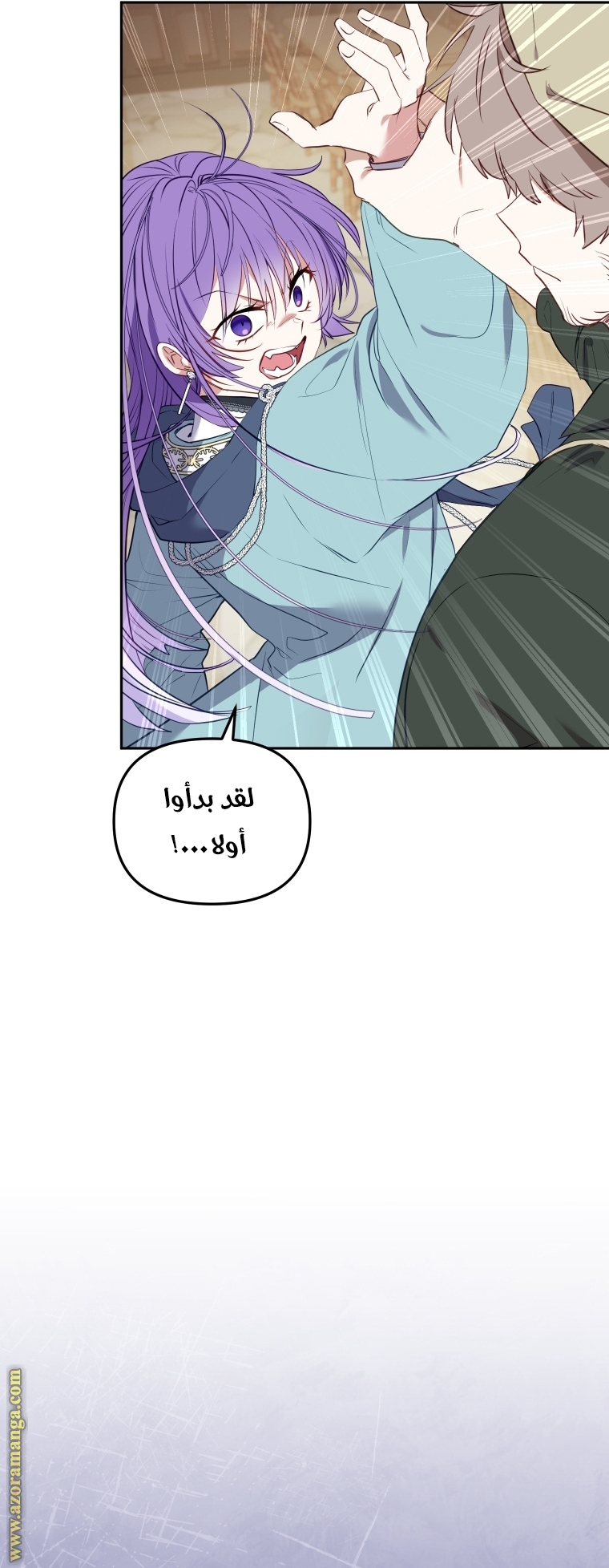 الصفحة 29