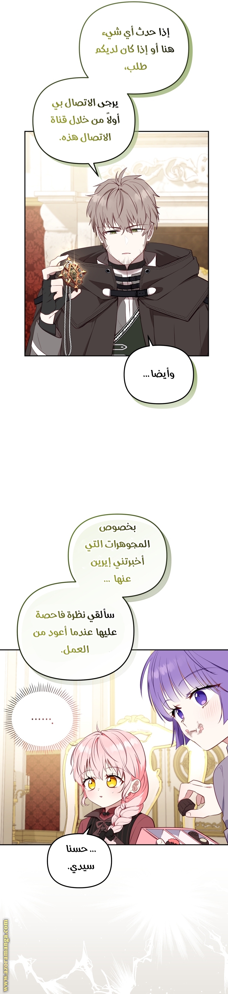 الصفحة 13