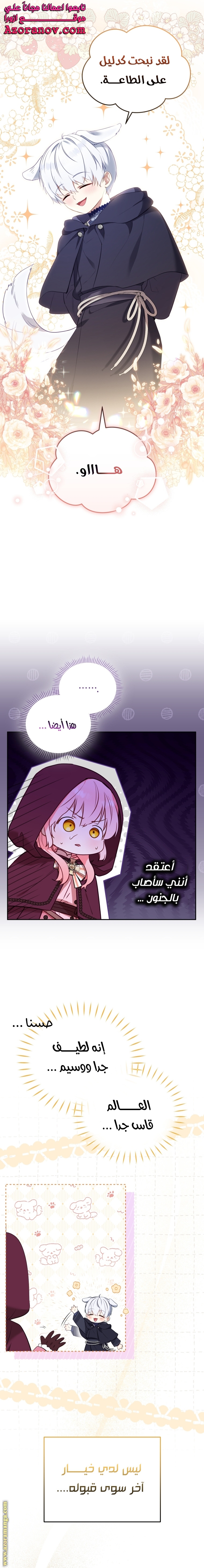 الصفحة 16