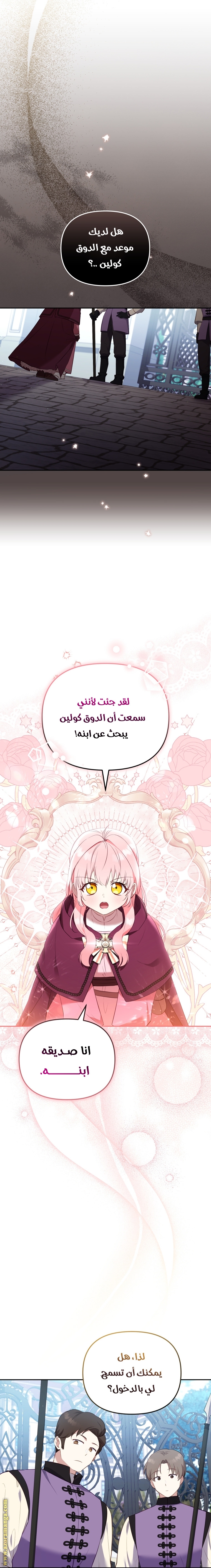 الصفحة 17