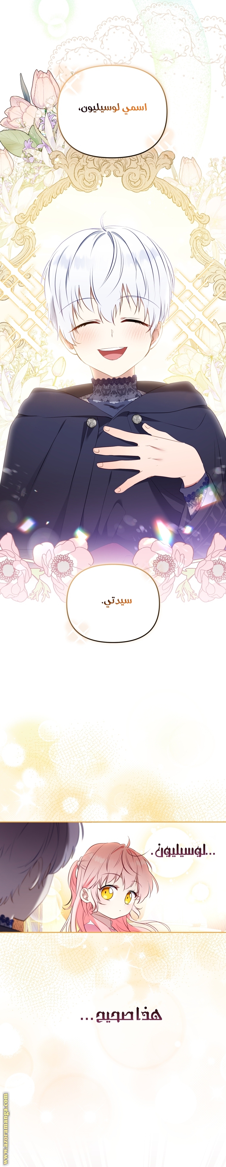 الصفحة 24