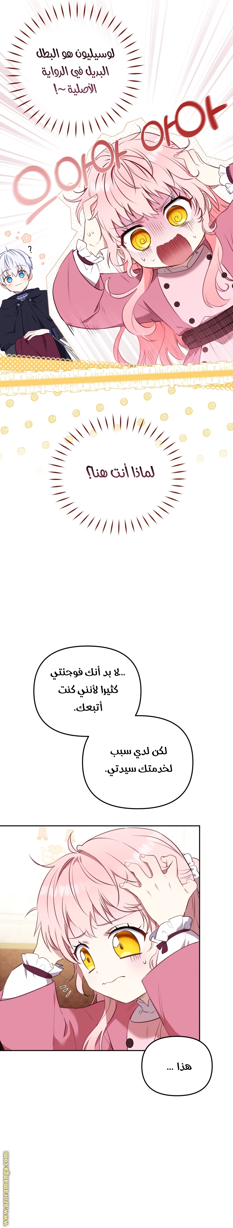 الصفحة 25