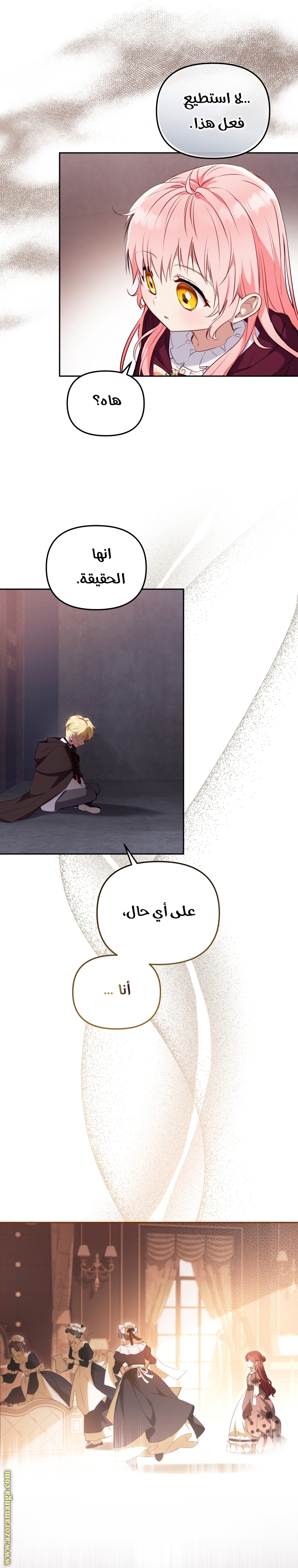 الصفحة 17