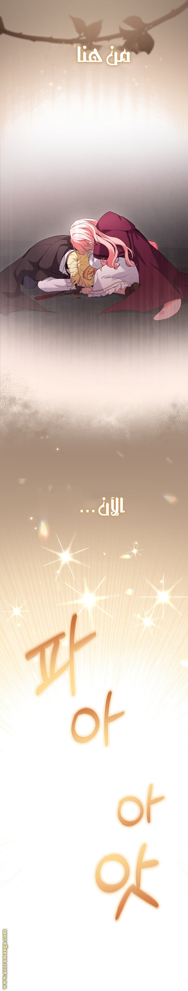 الصفحة 25