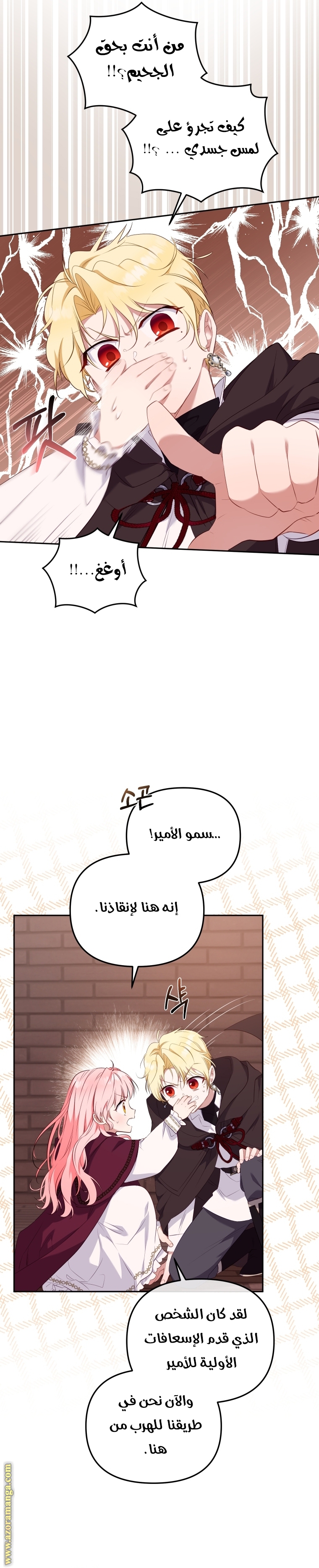 الصفحة 14