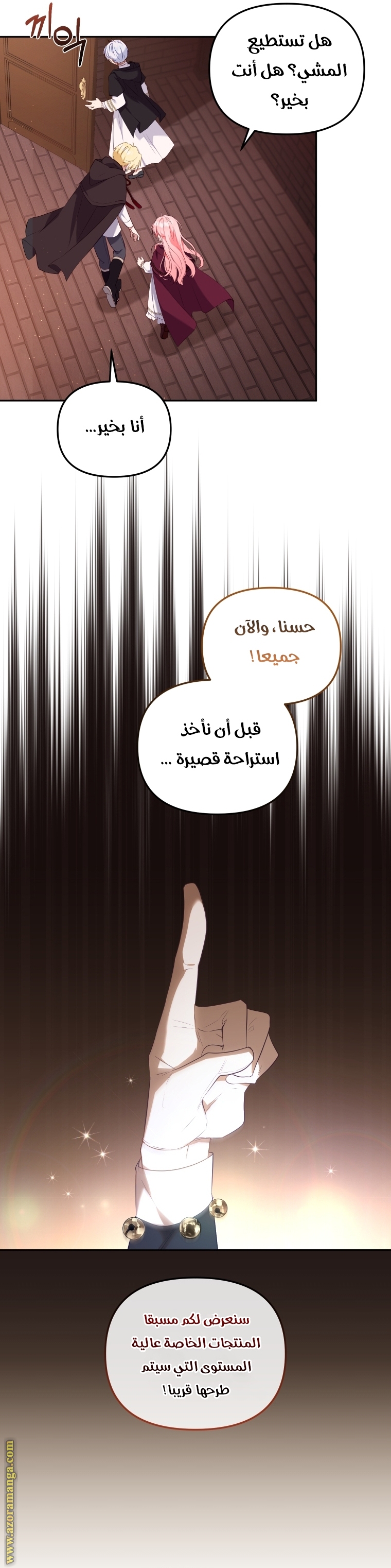 الصفحة 17