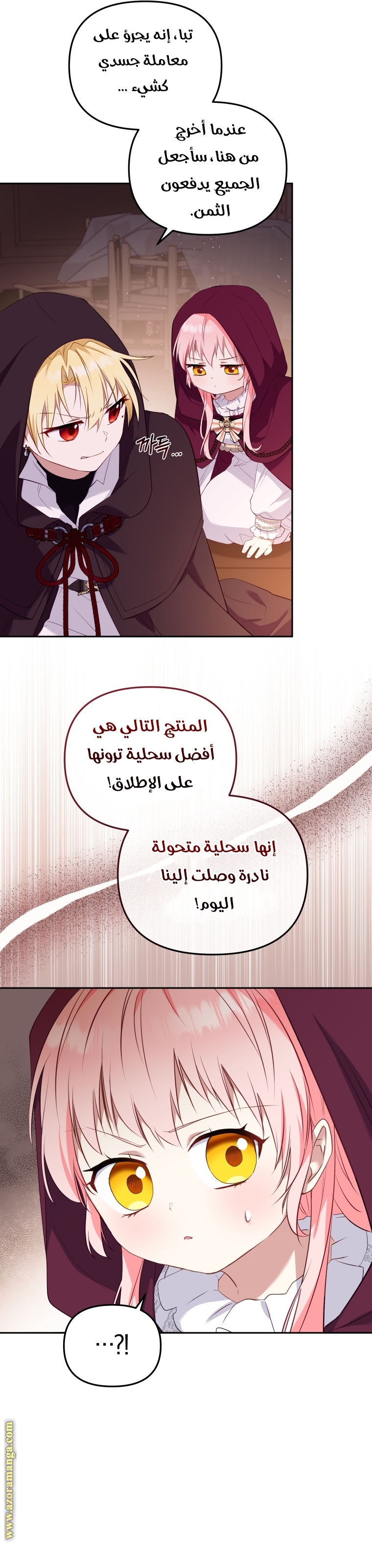 الصفحة 19